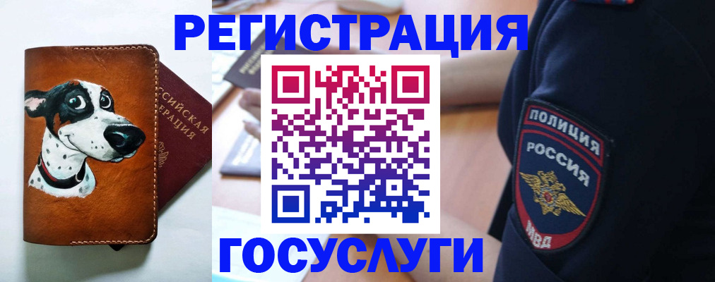 временная регистрация в квартире в Сарове